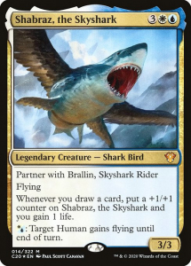 c20-14-shabraz-the-skyshark