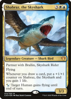 c20-14-shabraz-the-skyshark